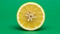 The texture is glossy highlighting the lemon s freshness and moistness Royalty Free Stock Photo