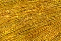 Texture of gold color straw,abstract background Royalty Free Stock Photo