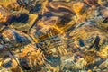 Texture of golden brown river rocks with clear shallow water Royalty Free Stock Photo