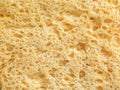 Texture: golden crust of corn bread close up - background Royalty Free Stock Photo