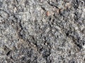 Texture of a granite rock Royalty Free Stock Photo