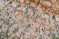 texture of granite stone gemology Royalty Free Stock Photo