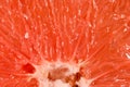 Texture of grapefruit