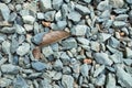 Texture of gravel rock and stone on the ground
