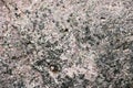 Texture of gray with a black, multi-colored old solid stone with cracks, bumps, pits and patterns Royalty Free Stock Photo