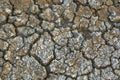 The texture and gray color of dried cracked soil with small stones. Background of deep cracks in the ground. A barren land Royalty Free Stock Photo