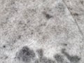 Texture of gray colour marble table