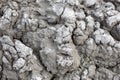 The texture of gray cracked earth, dried volcanic clay with cracks. Ultimate Gray. Natural background, copyspace Royalty Free Stock Photo