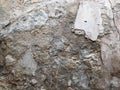 Texture gray multi-layered textured carved old dry peeling stone, stone wall from the rock. The background Royalty Free Stock Photo