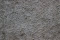 Texture gray plastered wall for background. Rough cement wall plaster. Facade stucco background. The exterior of the building. Royalty Free Stock Photo