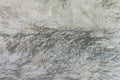 Texture of the gray polished concrete wall with scratches