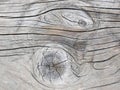 Natural texture of gray vintage pine board