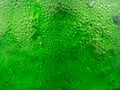 Texture green