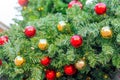 Texture of a green Christmas tree and decorations red gold balls, background Royalty Free Stock Photo