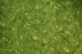 The texture of the green corrugated glass surface