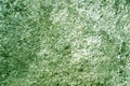 Texture of green fabric carpet Royalty Free Stock Photo