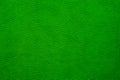 Texture of green grained leather as a background. Snake skin. Natural material, top view. Royalty Free Stock Photo