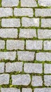 Texture of green grass sprouted between bricks of cobblestone path, top view. Concept of harmonious fusion of city and Royalty Free Stock Photo