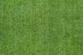 Texture of green grass top view green lawn