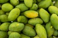Texture of green juicy fresh mango fruit. Group of fresh green mango for sell .Thai fruit tropical raw mangoes. Tropical Royalty Free Stock Photo