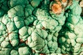 Texture of green malachite mineral gemstone Royalty Free Stock Photo