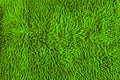 Texture of green microfiber carpet Royalty Free Stock Photo