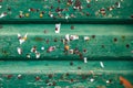 Texture of green ol wood planks with small sheets of papers and old metal rusty pins Royalty Free Stock Photo