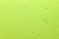 texture of green porous sponge Royalty Free Stock Photo
