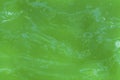 The texture of green slime. Design for halloween. The photo