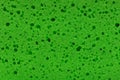 Texture of green sponge Royalty Free Stock Photo