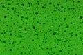 Texture of green sponge Royalty Free Stock Photo