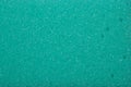 Texture of green sponge Royalty Free Stock Photo