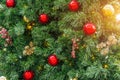 The texture of the green spruce and decoration red balls, cones and berries, christmas background Royalty Free Stock Photo