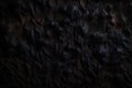 texture grey space background black rough blackboard black abstract friday copy grunge dark. Generative AI. Royalty Free Stock Photo