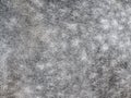 Texture of a grey spotted horse animal coat. Grey and white hair horse skin - real genuine natural fur, free space for text. Horse Royalty Free Stock Photo