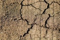 Texture of the ground, structure of the soil close up. Drought concept Royalty Free Stock Photo