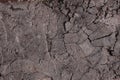 Texture of the ground surface with cracks, cracks of dry land without water. global warming, soil rupture, cracked earth