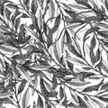 Texture with hand drawn black and white oliv branches and leaves . Ideal for printing on fabric or paper. floral