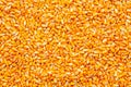 Texture of harvested corn kernels heap Royalty Free Stock Photo