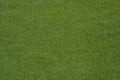 Texture of the herb cover sports field. Used in tennis, golf, ba