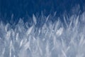 Texture of hoarfrost