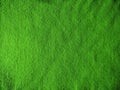 Texture of homogeneous felt, plain green fabric background