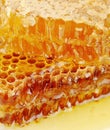 Texture of honeycomb