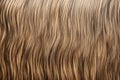 texture of horse mane strands