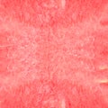 Texture of the huge ripe piece of watermelon.Instagram.