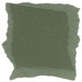 Isolated Fiber Paper Texture - Hunter Green XXXXL