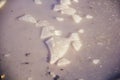 Texture of Ice Crystals on a Frozen Puddle Surface