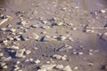 Texture of Ice Crystals on a Frozen Puddle Surface