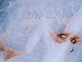 Texture of ice. A frozen part on the edge of a lake with the formation of a distinctive ice flower