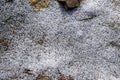 The texture of icy snow in the forest on the road, small branches and patches of earth, ice chips,